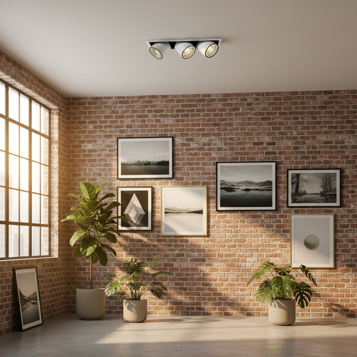 Commercial LED downlight in a room with brick walls pictures and plants