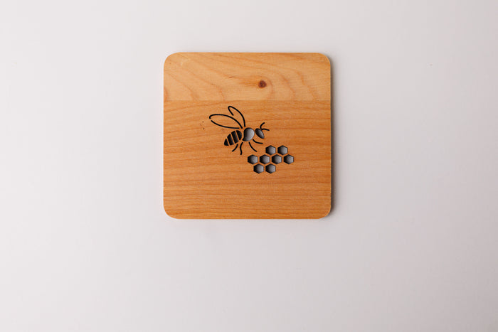 Alder Coaster