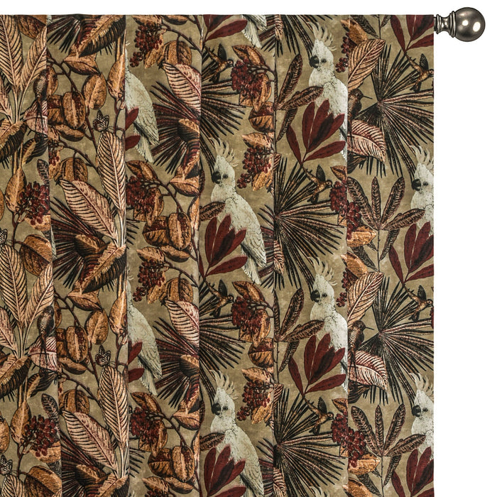 Beige, Brown Cockatoo Cotton Spun Printed Curtain Panels
