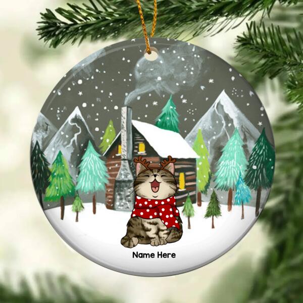 Cats Standing On Snow - Grey Sky - Personalized Cat Christmas Ornament