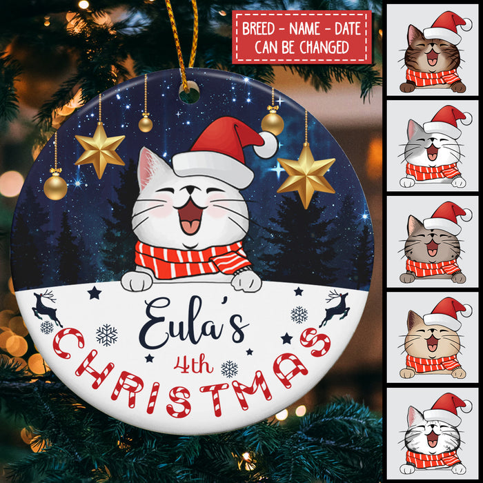 Christmas - Starry Night - Personalized Cat Christmas Ornament