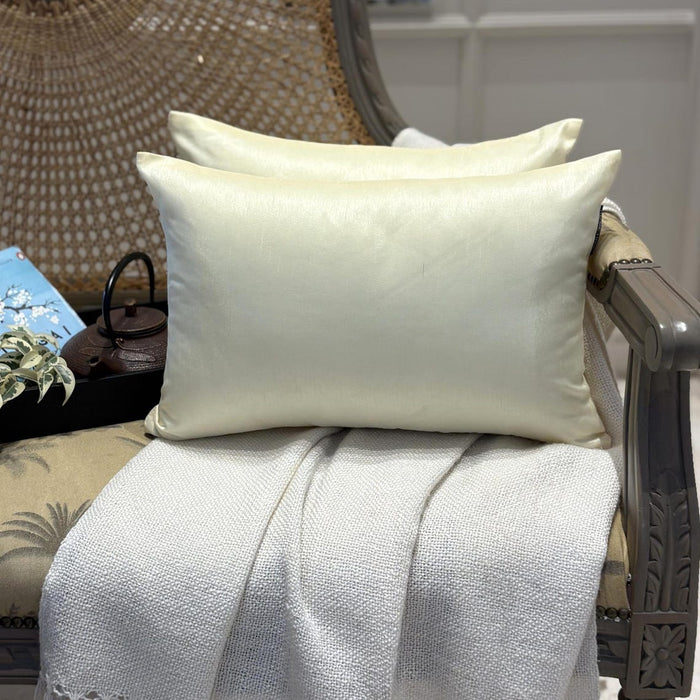 Cream Luxury Pack of 2 - Cream Art Silk Throw Pillow Cover