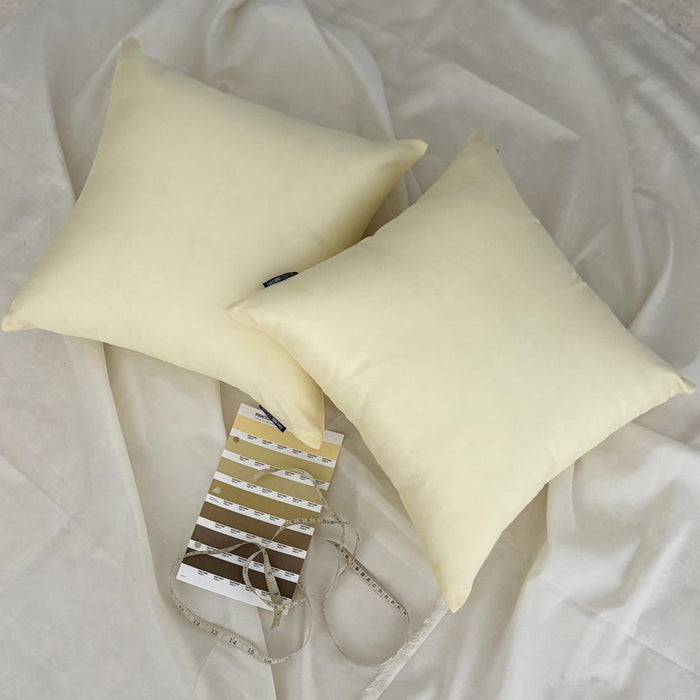 Cream Luxury Pack of 2 - Cream Art Silk Throw Pillow Cover