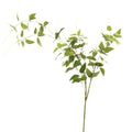 Jasmine Vine Spray