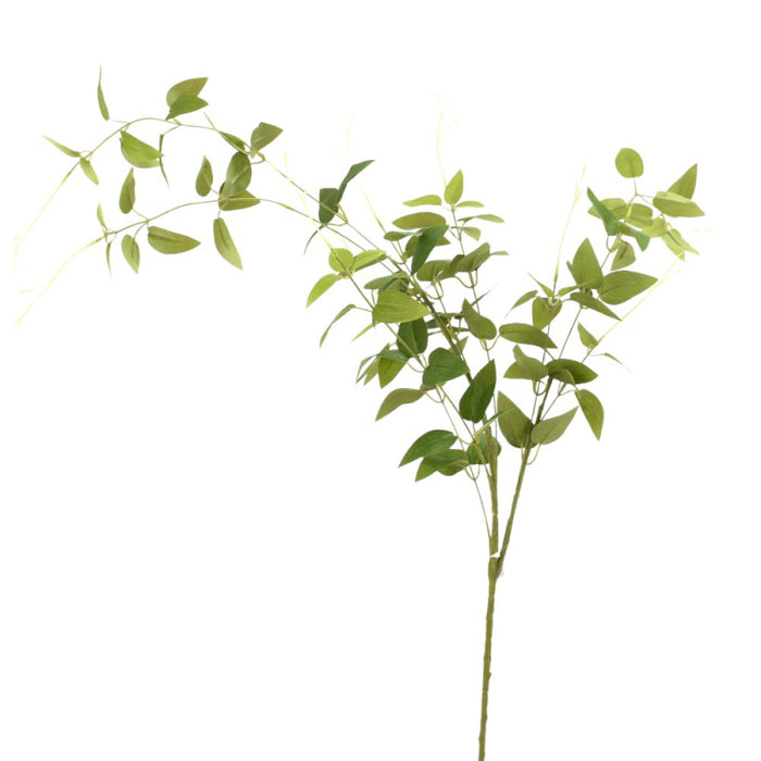 Jasmine Vine Spray