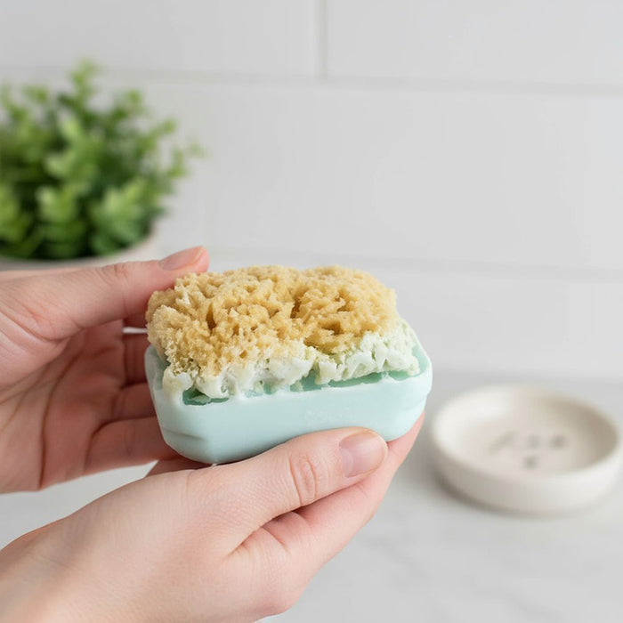 LORI'S SOAP & SPONGE | Goat Milk Soap Bar with Natural Sponge