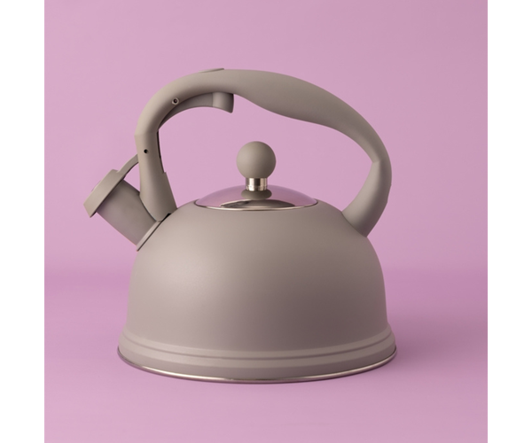 Otto Stovetop Kettle -Grey
