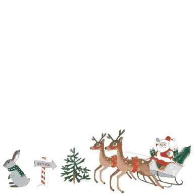 HG Sparkling Santa Christmas Beverage Napkins (40pcs) - Josi James -