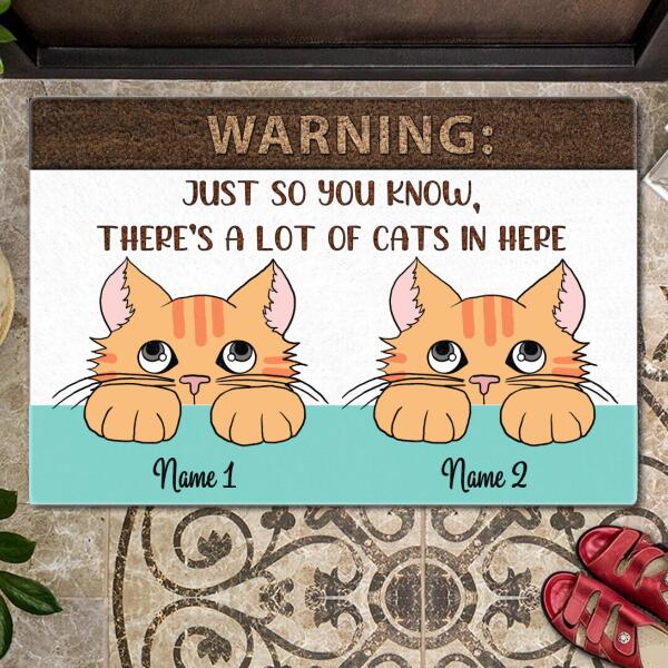 Warning Just So You Know There's A Lot Of Cats In Here - Personalized Cat Doormat